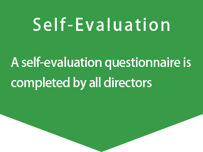 Self-Evaluation
A self-evaluation questionnaire is completed by all directors