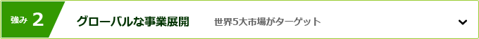 強み2 グローバルな事業展開 世界5大市場がターゲット