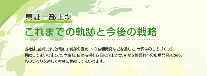 これまでの軌跡と今後の戦略