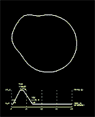 Select from the Following Cam Curve Types