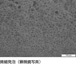 微細発泡（顕微鏡写真）