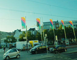 会場周辺の道路　EMOの旗がたくさん