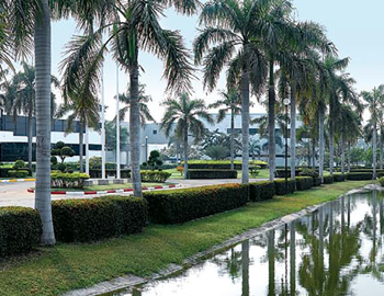 Tropical scenery from the employee cafeteria