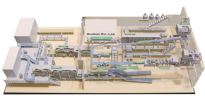 Model of an actual noodle production line